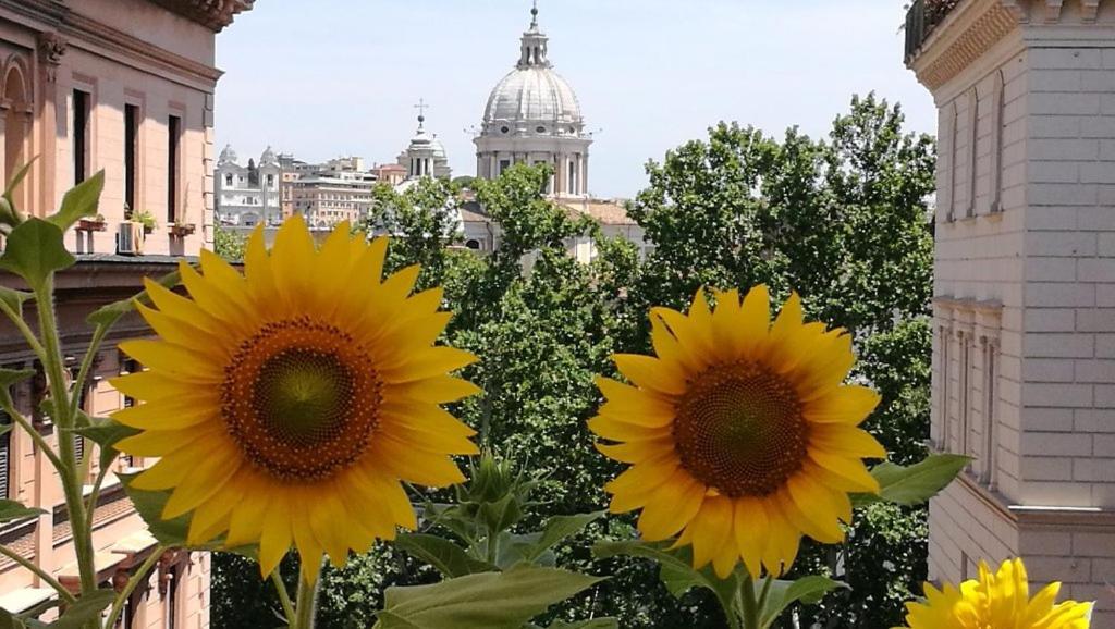 Residenza Cavallini Roma Exterior foto